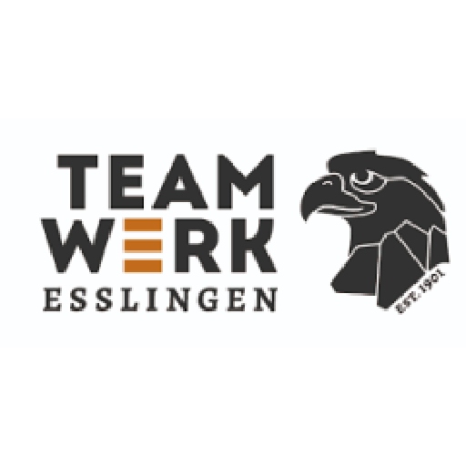 Teamwerk Esslingen Logo